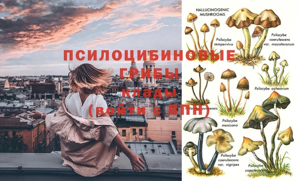мдпв Армянск