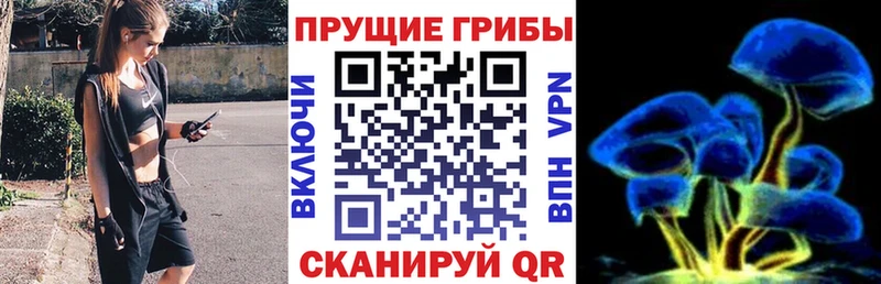 Галлюциногенные грибы прущие грибы  Лахденпохья 